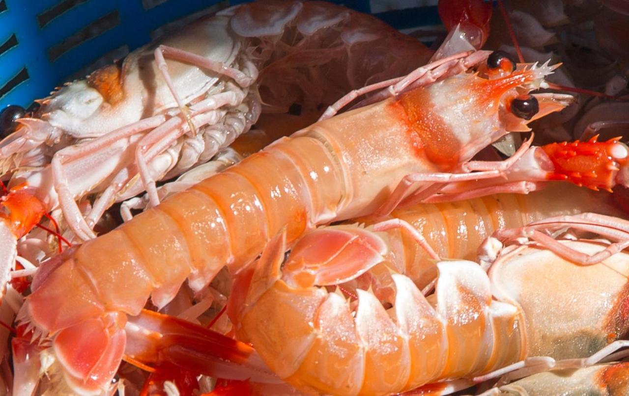 فيلا La Casita Del Pescador كاليتا دي فيليز المظهر الخارجي الصورة